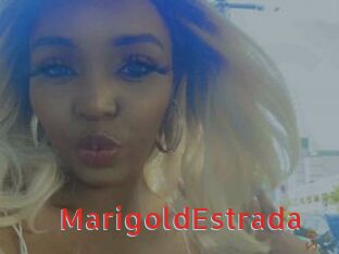 MarigoldEstrada Archive DVD NET