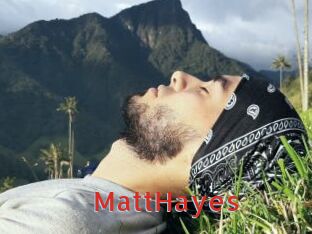 MattHayes