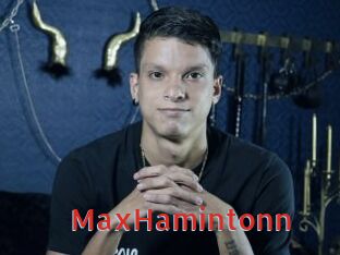 MaxHamintonn