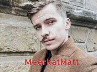 MeerkatMatt