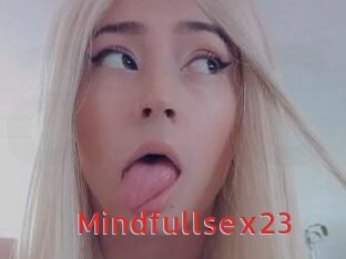 Mindfullsex23