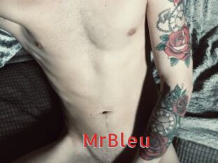 MrBleu