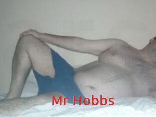 Mr_Hobbs