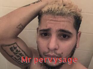 Mr_pervysage