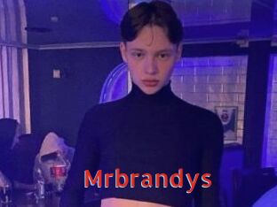 Mrbrandys Archive DVD NET