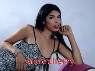 mafecherry Archive DVD NET