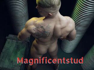 Magnificentstud