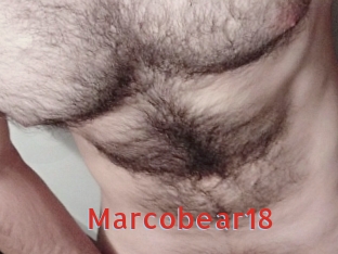 Marcobear18