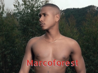 Marcoforest