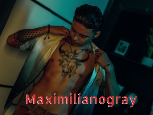 Maximilianogray