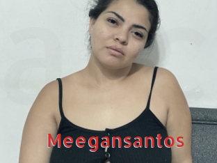 Meegansantos