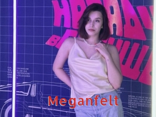 Meganfelt