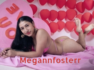 Megannfosterr