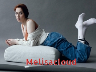 Melisacloud