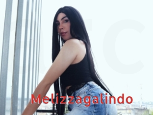 Melizzagalindo