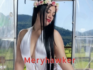 Meryhawker