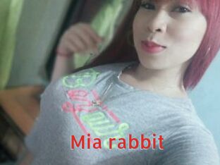 Mia_rabbit