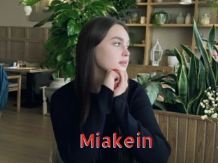 miakein Archive DVD NET