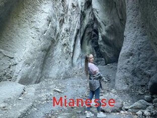 mianesse Archive DVD NET