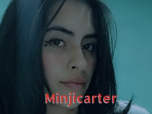 Minjicarter