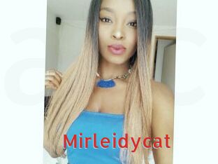 Mirleidycat