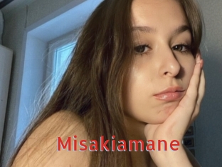 misakiamane Archive DVD NET