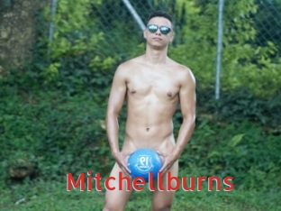 Mitchellburns