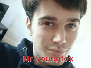 Mr_youngfox