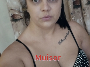 Muisor