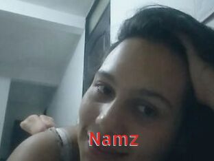 Namz Archive DVD NET