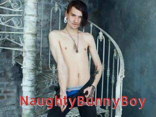 NaughtyBunnyBoy