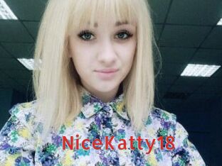 NiceKatty18