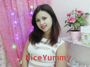 NiceYummy Archive DVD NET