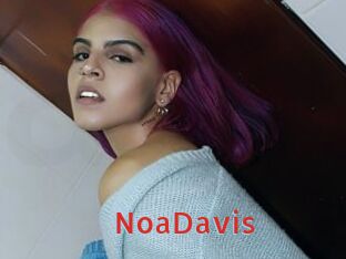 NoaDavis