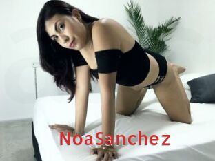 NoaSanchez
