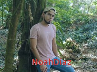 NoahDiaz Archive DVD NET