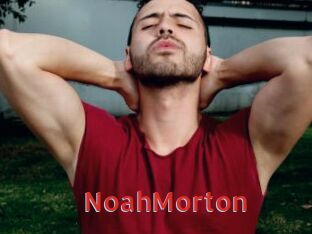 NoahMorton