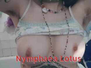 Nymphaea_Lotus