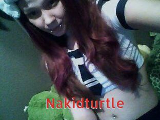 nakidturtle Archive DVD NET