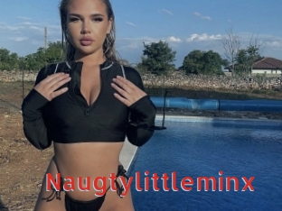 naugtylittleminx Archive DVD NET