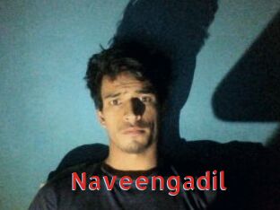 Naveengadil