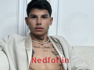 Nedfollin