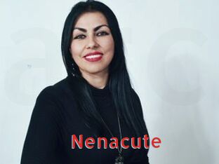 nenacute Archive DVD NET