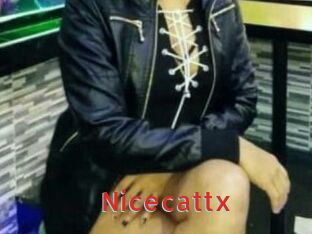 Nicecattx