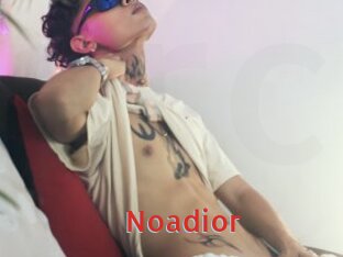 noadior Archive DVD NET
