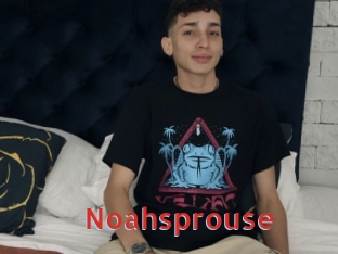 Noahsprouse