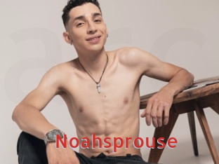 Noahsprouse