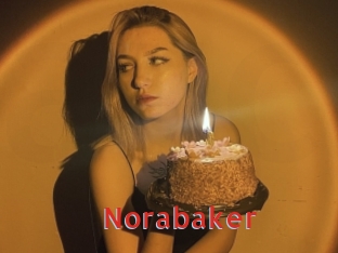 norabaker Archive DVD NET