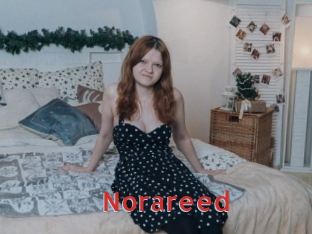 norareed Archive DVD NET