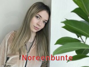 Noreenbunte